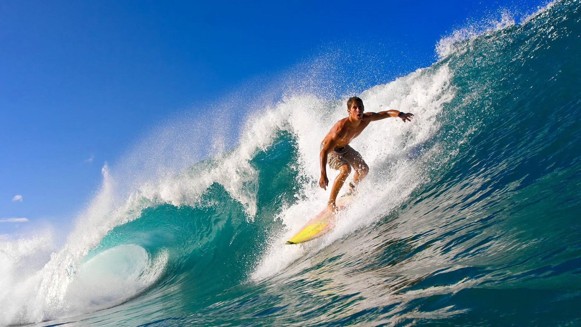 波兰队赛制解读:如何通过赛制增强团队协作与默契,波兰队的比赛