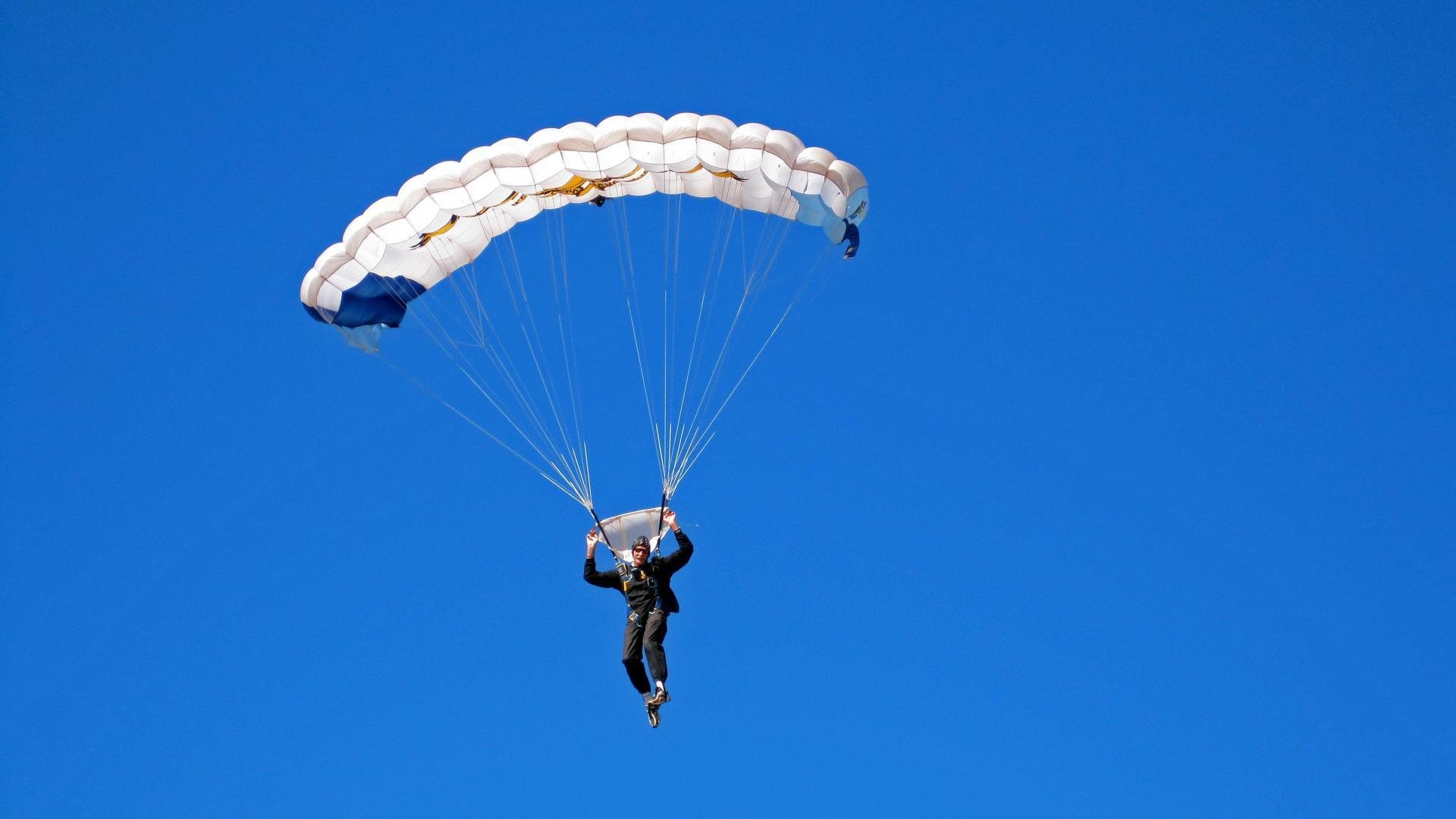 全黑队的球场控制力令比赛节奏始终由其掌控